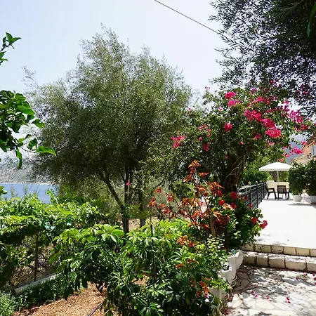 Stamatia's House Agia Efimia