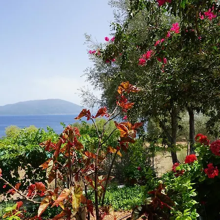 Stamatia's House